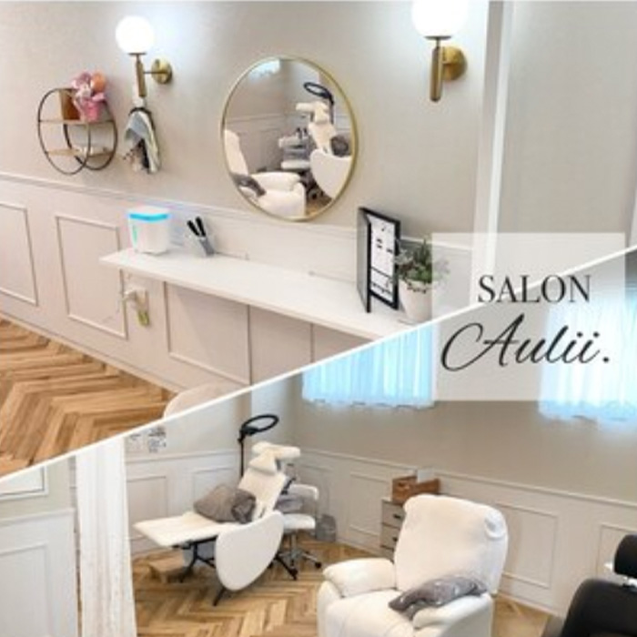 SALON Aulii.